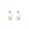 Tipperary Crystal pear cluster hoop earrings