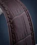 Men's Festina Timeless