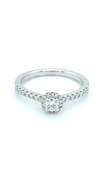 18ct White Gold Halo Solitaire Ring